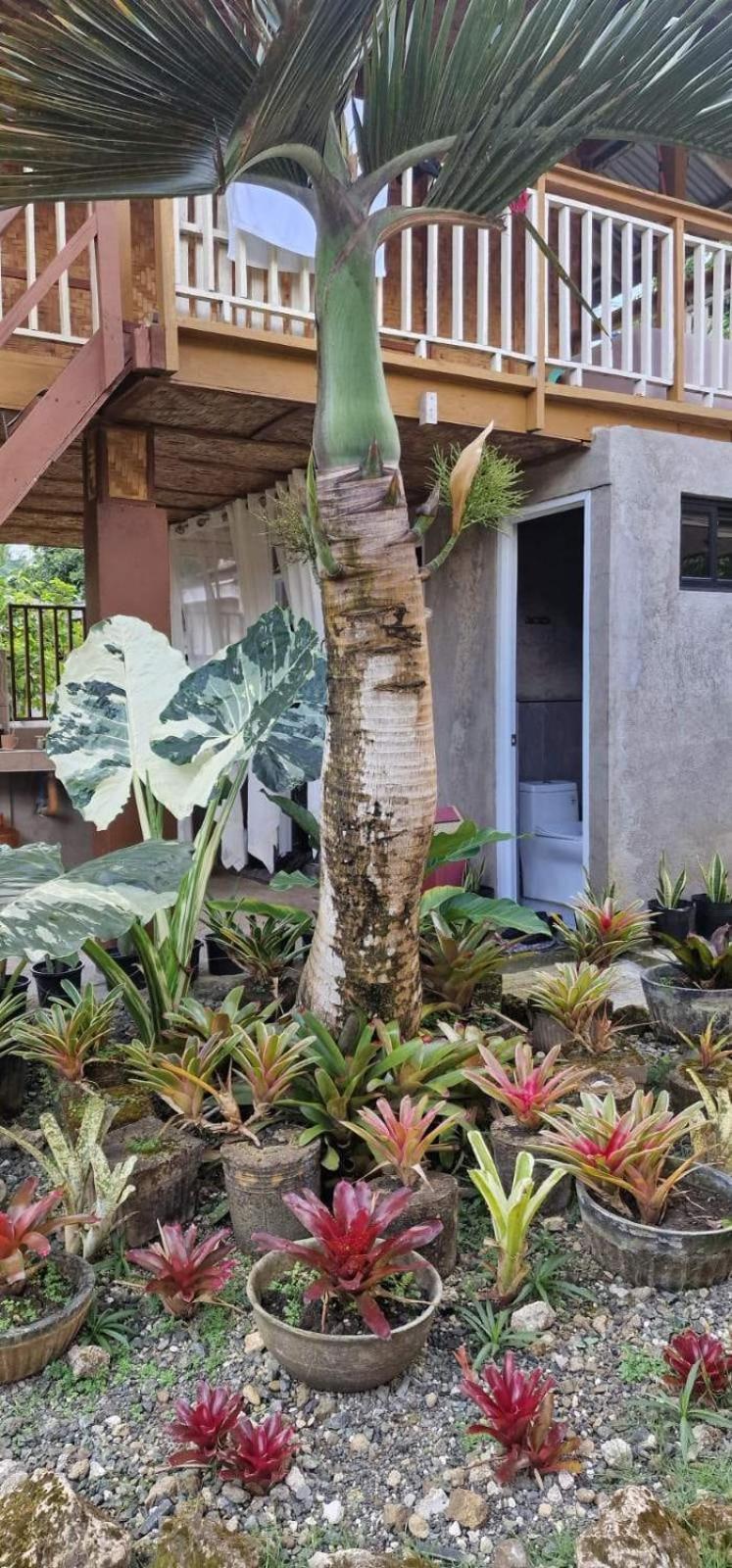 Khloe Serenity Guest House Batuan 外观 照片